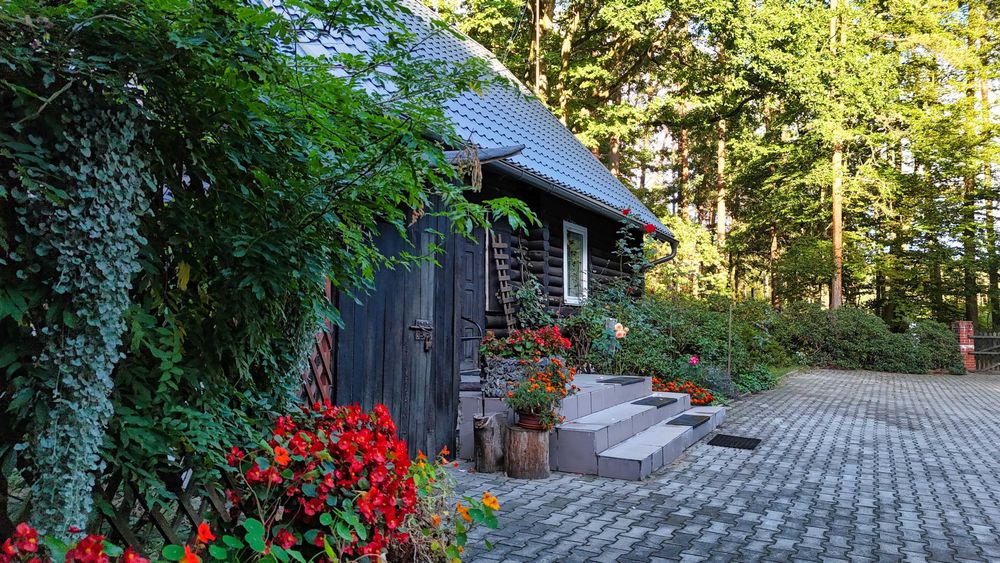 Domek w środku lasu! Na wynajem!