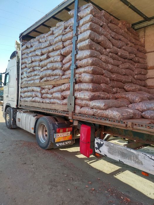 Вантажники Хмельницький Послуги вантажників Грузчики