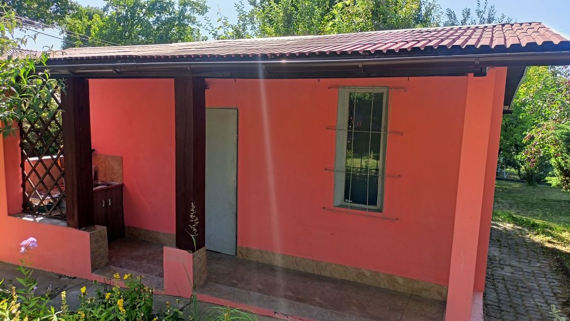 Piękna 687m2 działka ROD "Zielony Jar"