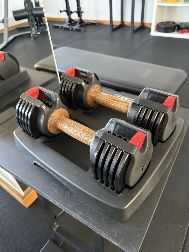 Halteres Ajustáveis Fittest (6,6kg)