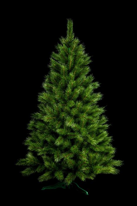 Штучна ялинка Сосна Канадська 1,5м