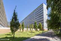 Viva com Tranquilidade em Lisboa – T1 Lumiar com Parqueamento e Arreca