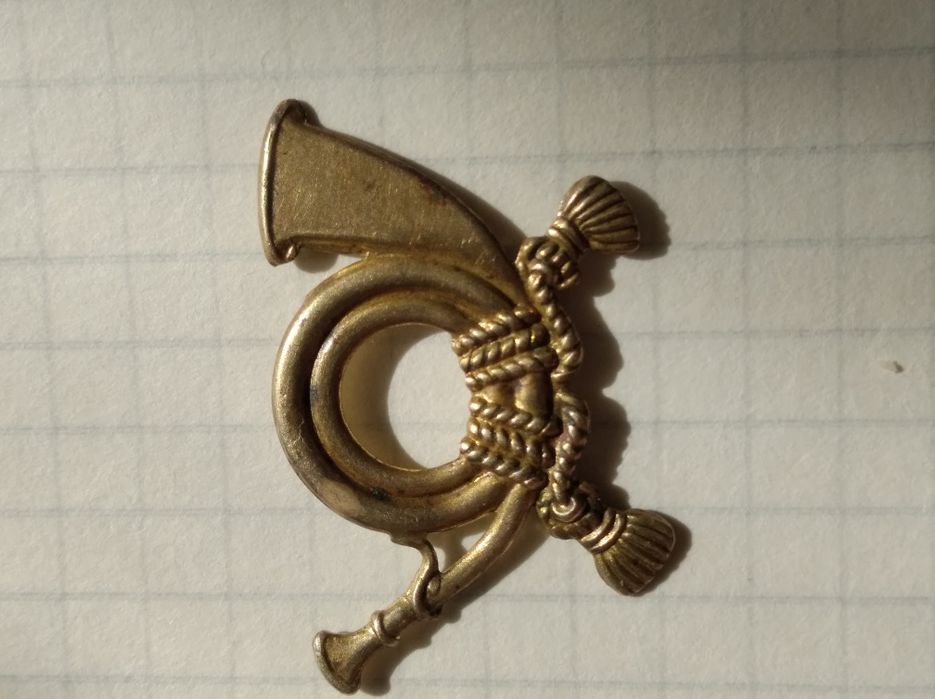 Редкий значок на воротник горного охотника