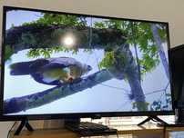 Телевизор ergo 32gfs6500