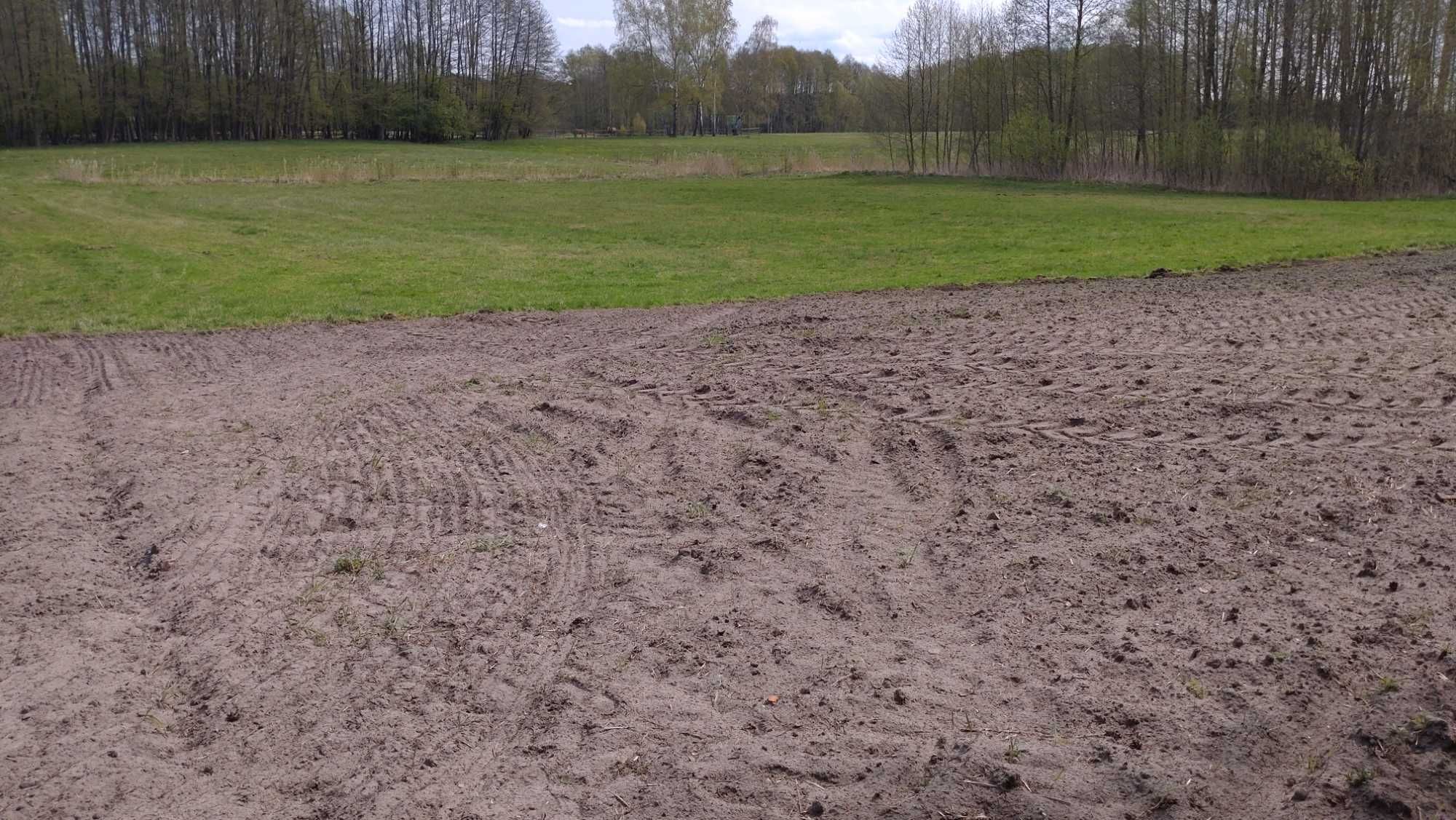 Sprzedam 2 sąsiadujące działki o pow. 1,17 ha (rolno-budowlana) .