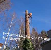 Wycinka drzew, ścinka drzew "ALPINISTYCZNIE" Bieruń, Libiąż+20km