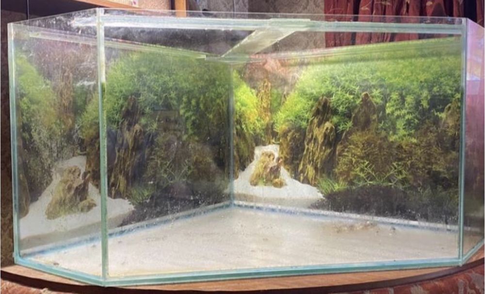 Акваріум 300 літрів