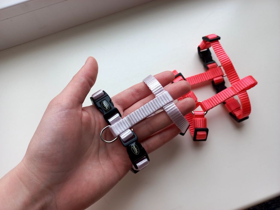 Шлея для собак XS - S