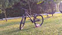 Rower Dirt Kands Colt