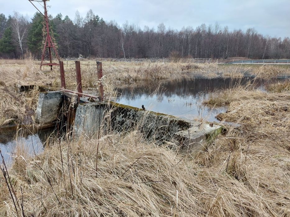 Działka inwestycyjna, rekreacyjna