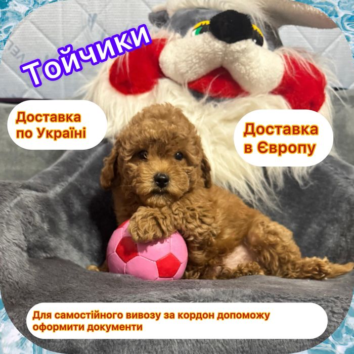 #Прекрасний хлопчик в яскравому і колоритному кольорі