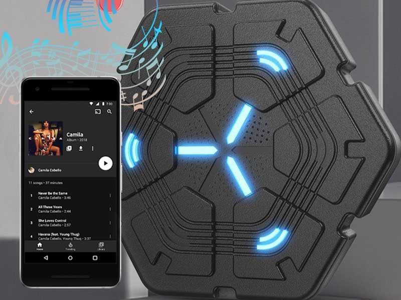 Tarcza Bokserska INTELIGENTNA Treningowa Muzyka System Bluetooth