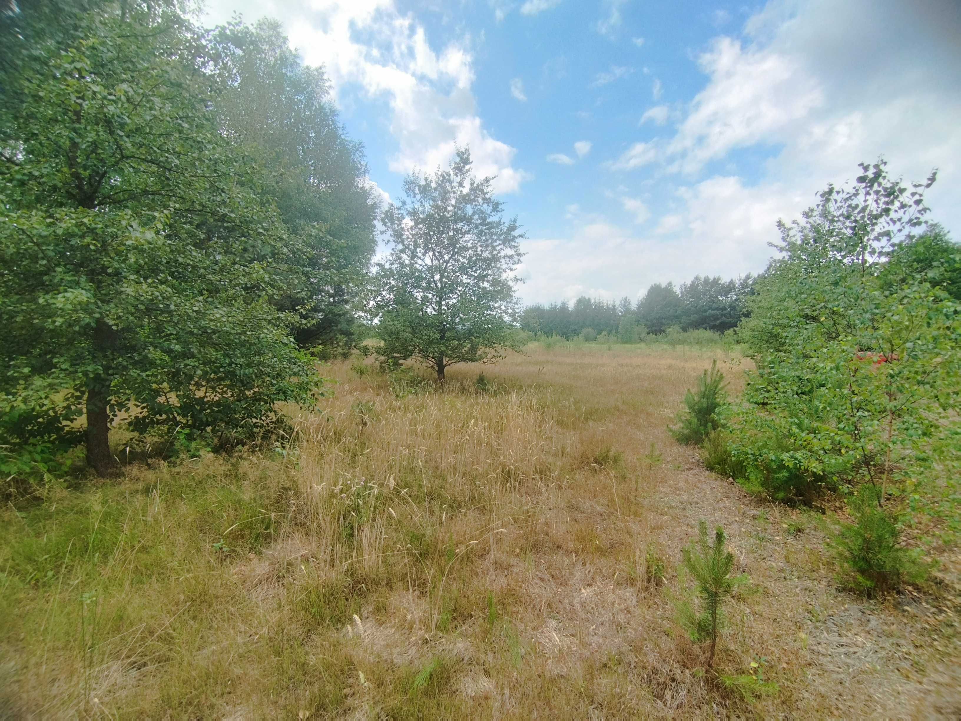 Działka 2700m2 na dom lub letniskowa