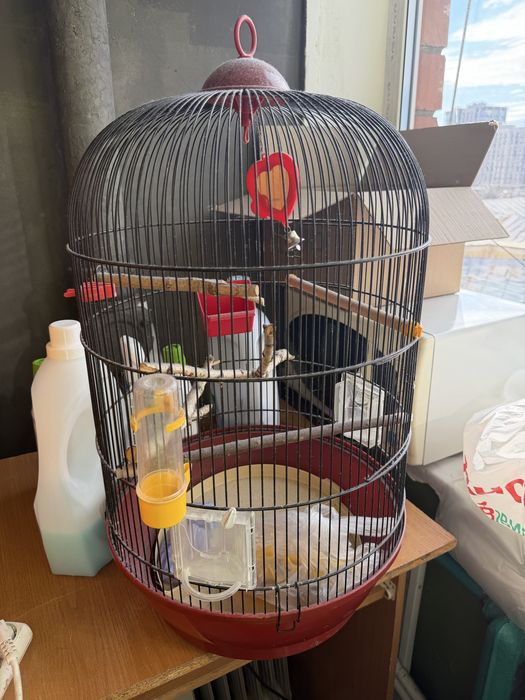 Продам клітку для папуги