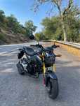 Honda MSX 125 SF