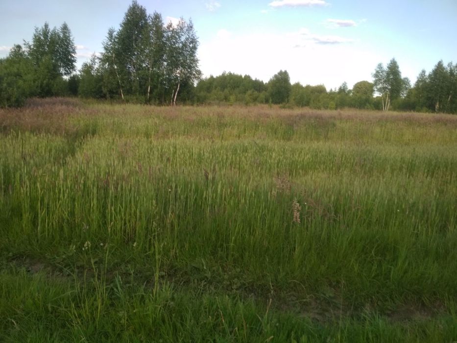 36 соток Суховоля