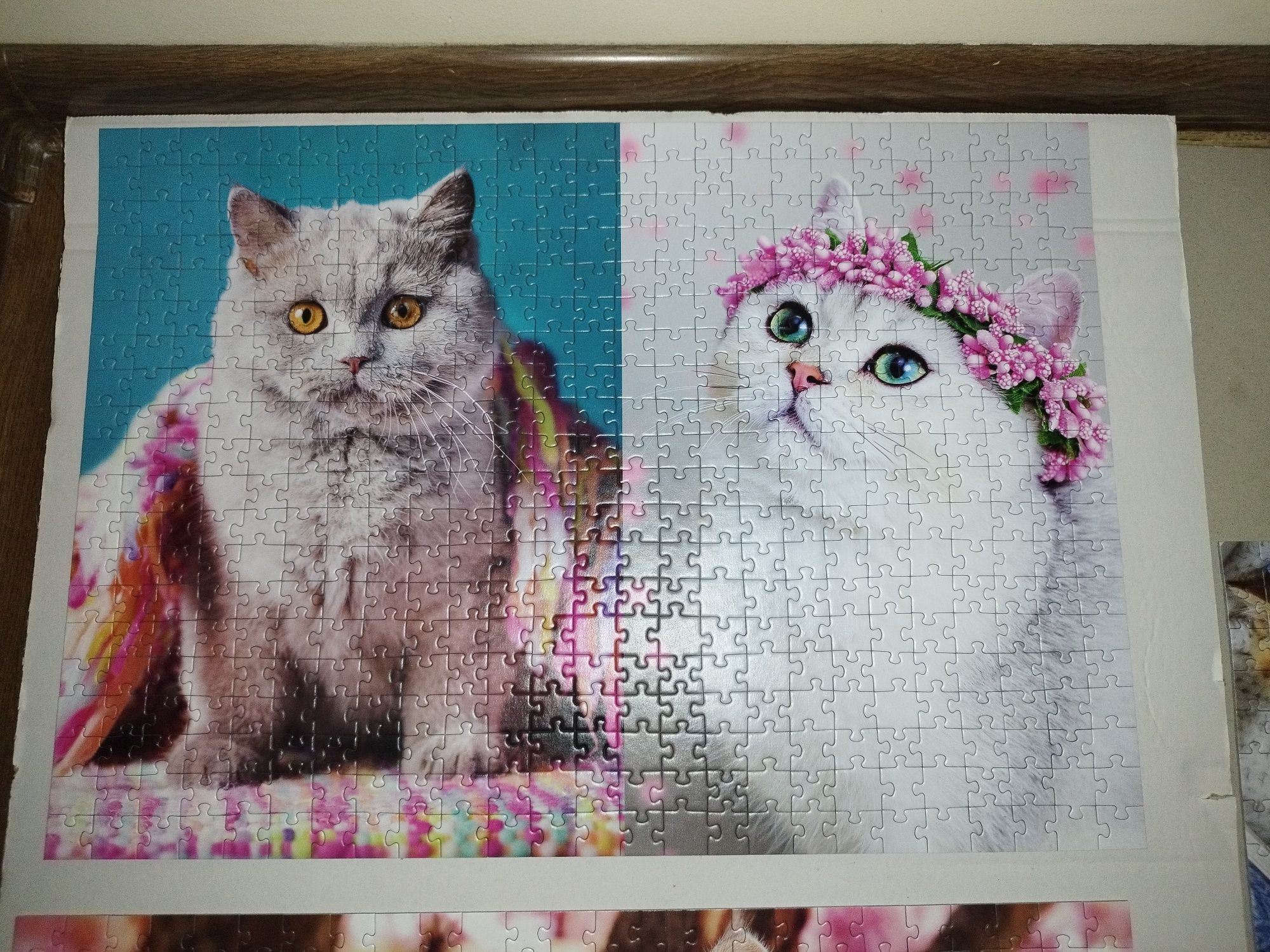 Puzzle 3w1 500,500,1000 Limited Edition Kittens Trefl