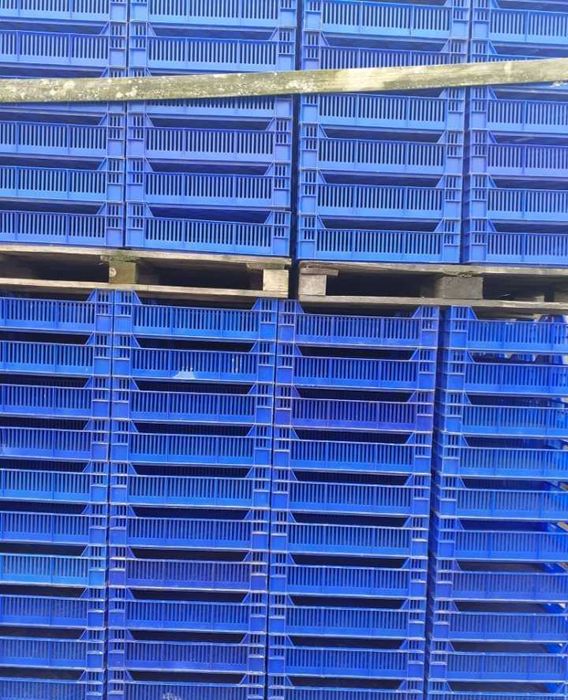 Sprzedam skrzynki plastikowe na owoce i warzywa BARDZO WYTRZYMAŁE