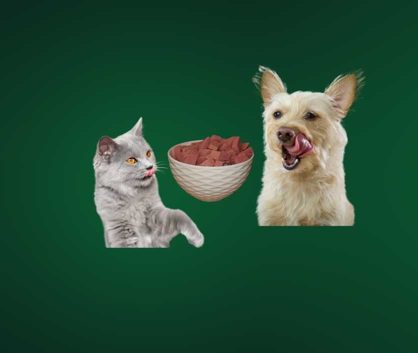 Premium Mini Mortadela Karma dla psa i kota Premium Drobiowa 250g