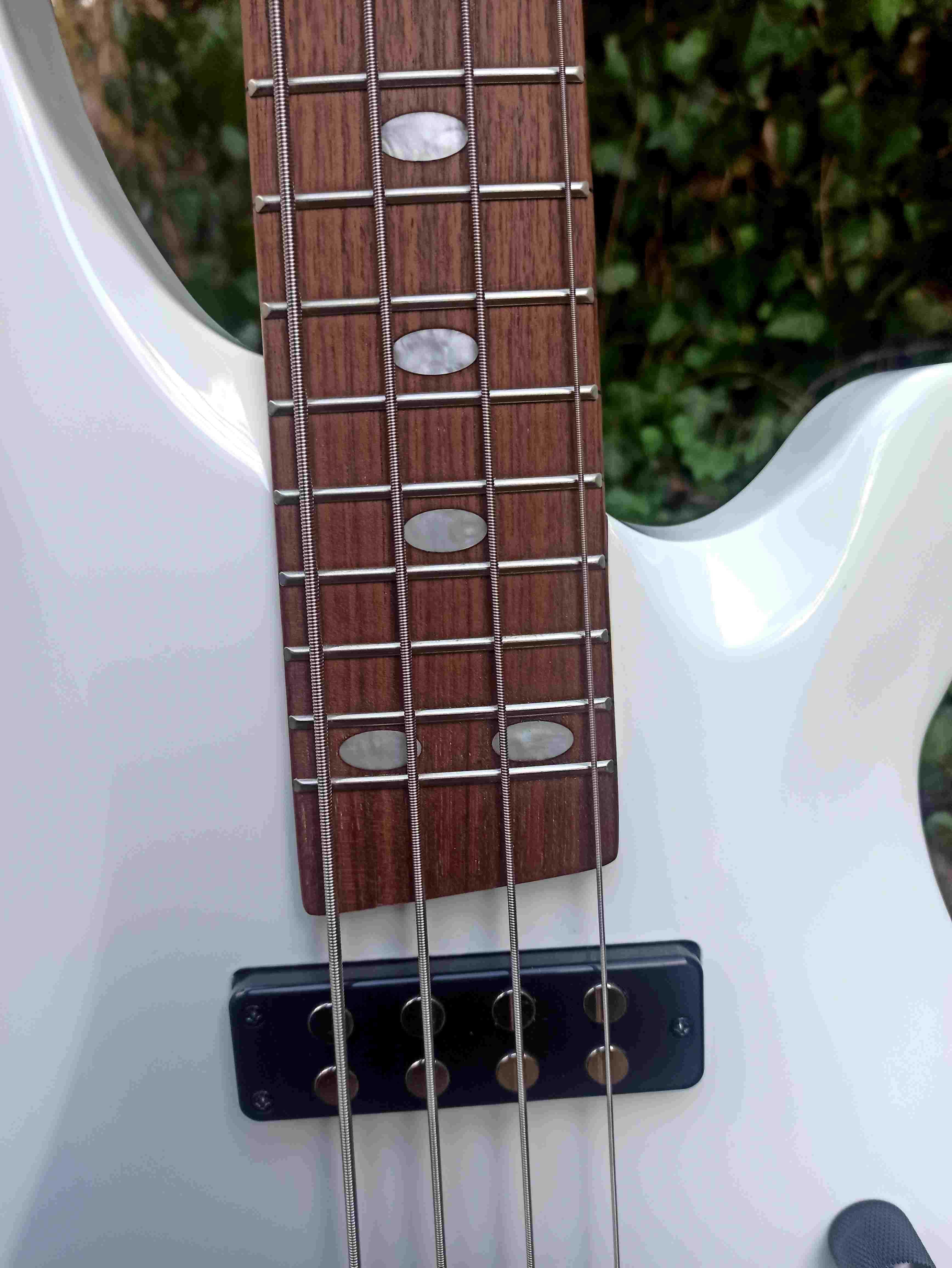 Nowa gitara basowa HB-450 Progressive Series