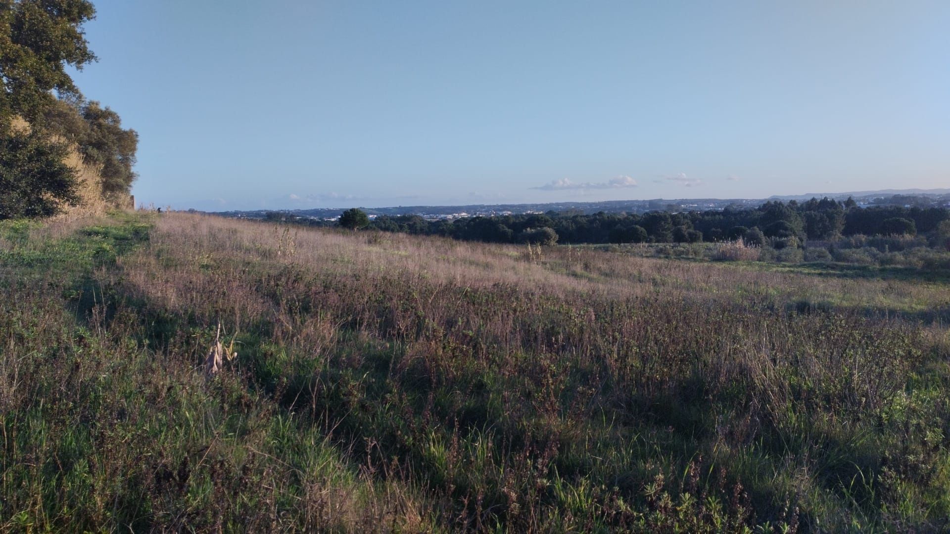 Terreno Agrícola