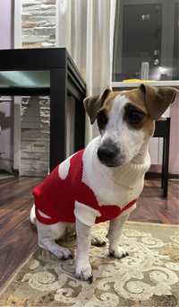 Одяг для собак светр в‘язаний на зиму