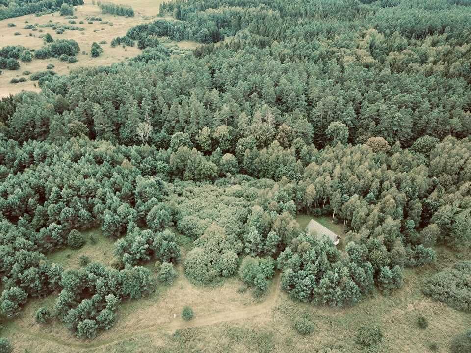 Siedlisko na Mazurach