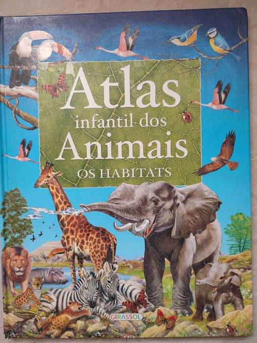 Dicionários por imagens - Infantil