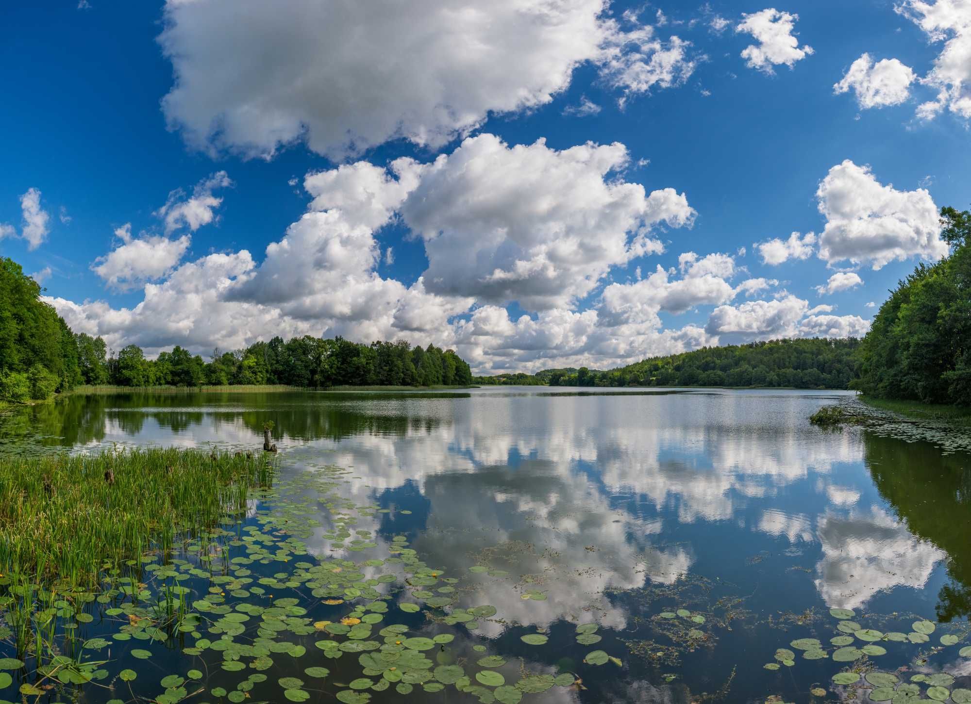 Dom z salą na spotkania ,urlop itp., pokoje z łazienkami w Chmielnie