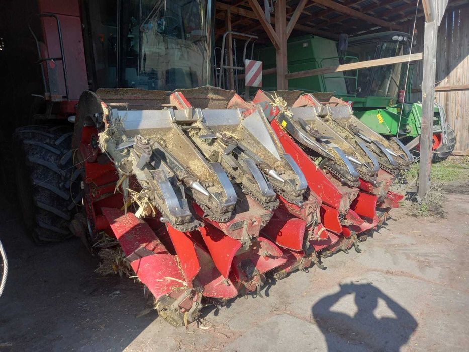 Przystawka do kukurydzy 8 CASE NEW HOLLAND, 2013r stan bardzo dobry