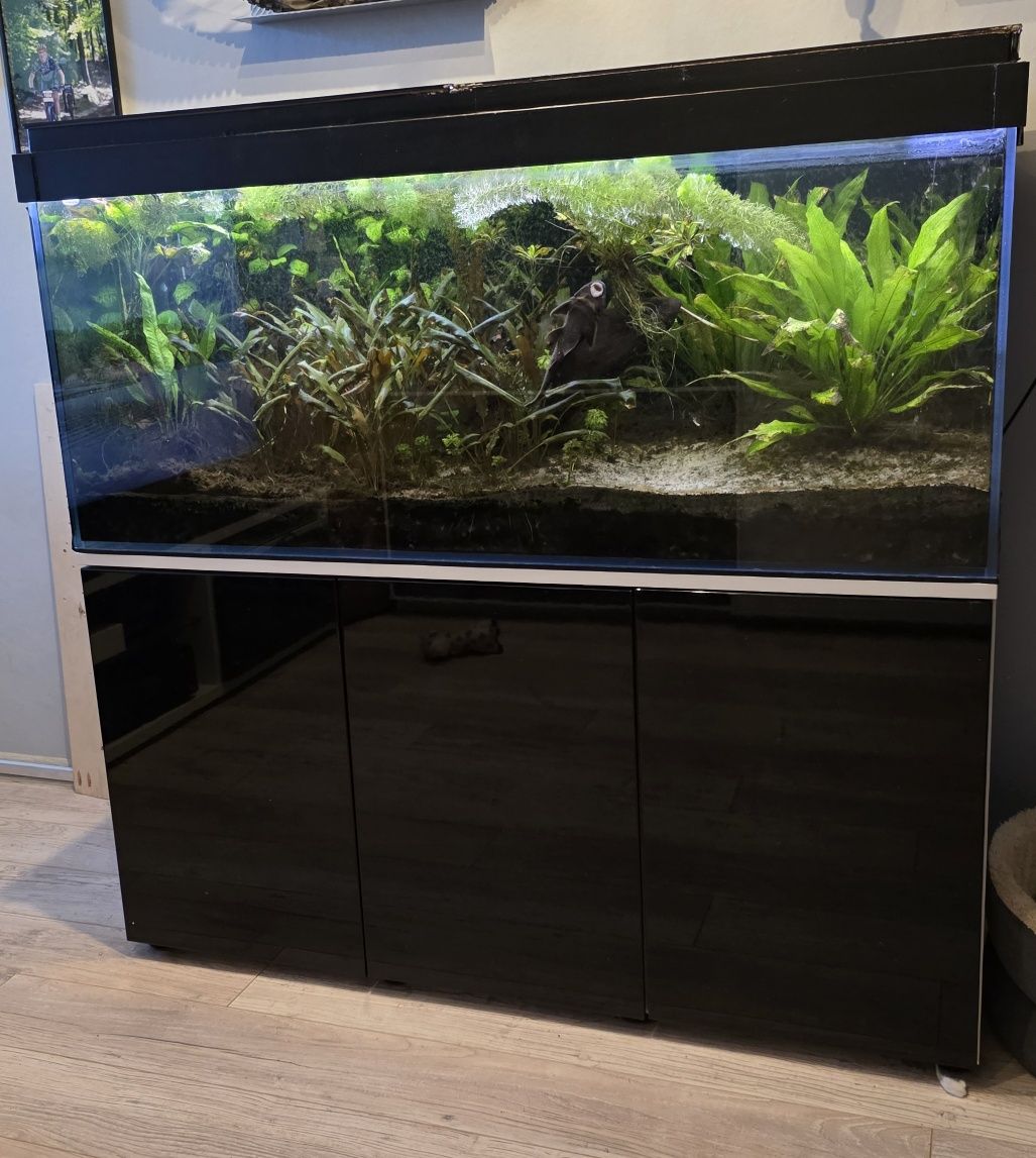 Akwarium 300l 120x50x50 OptiWhite z wyposażeniem