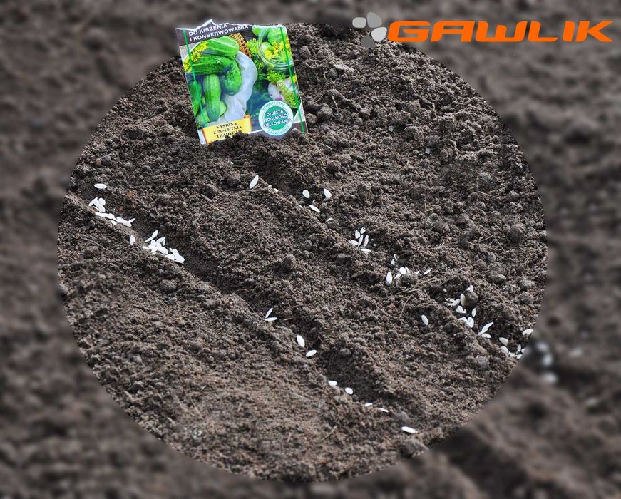 Ziemia , humus pod trawnik Premium jakość  + transport