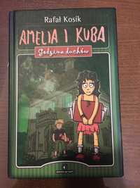Nowa książka Amelia i Kuba, Rafał Kosik
