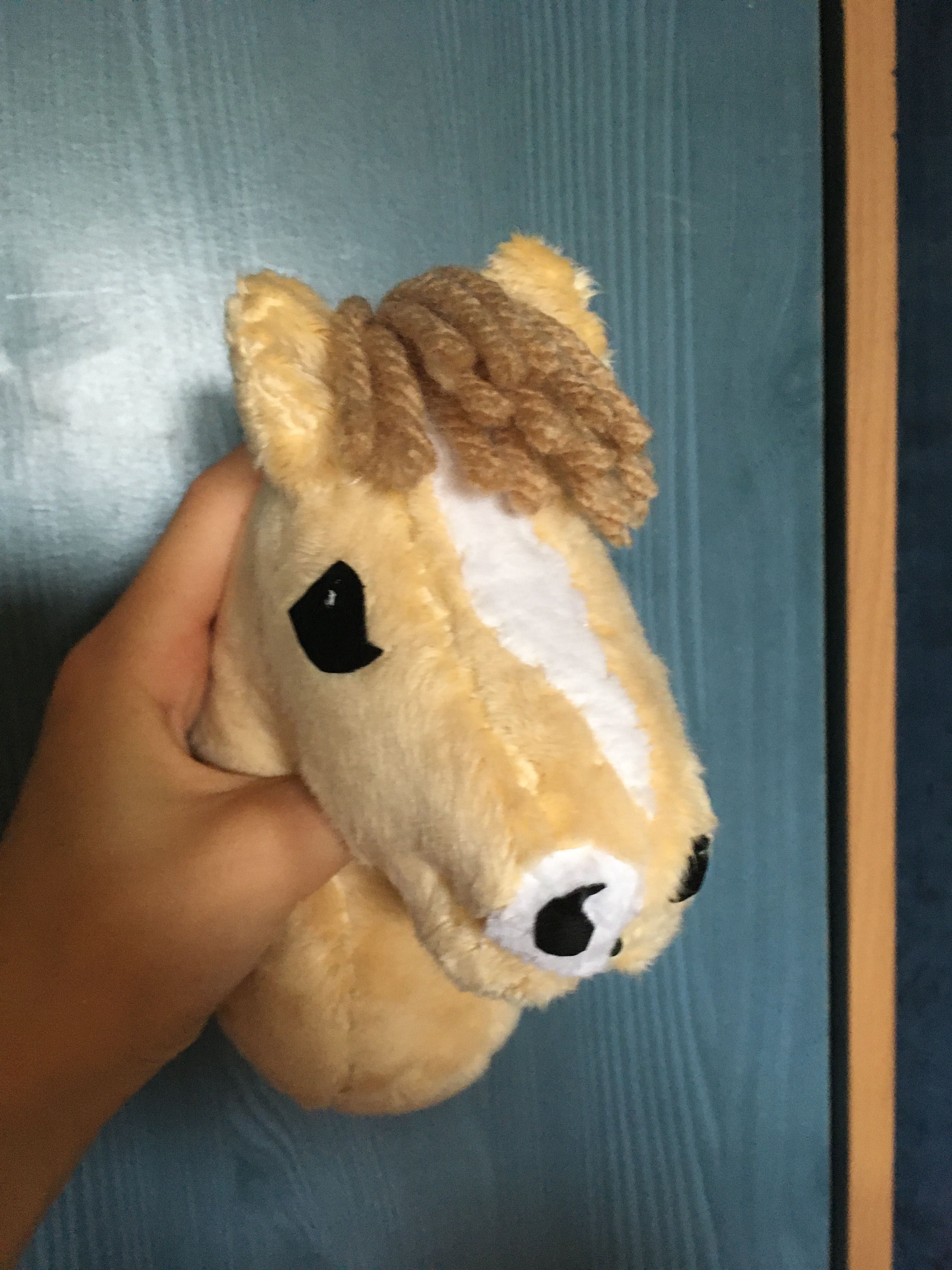 Hobby horse a5 ..