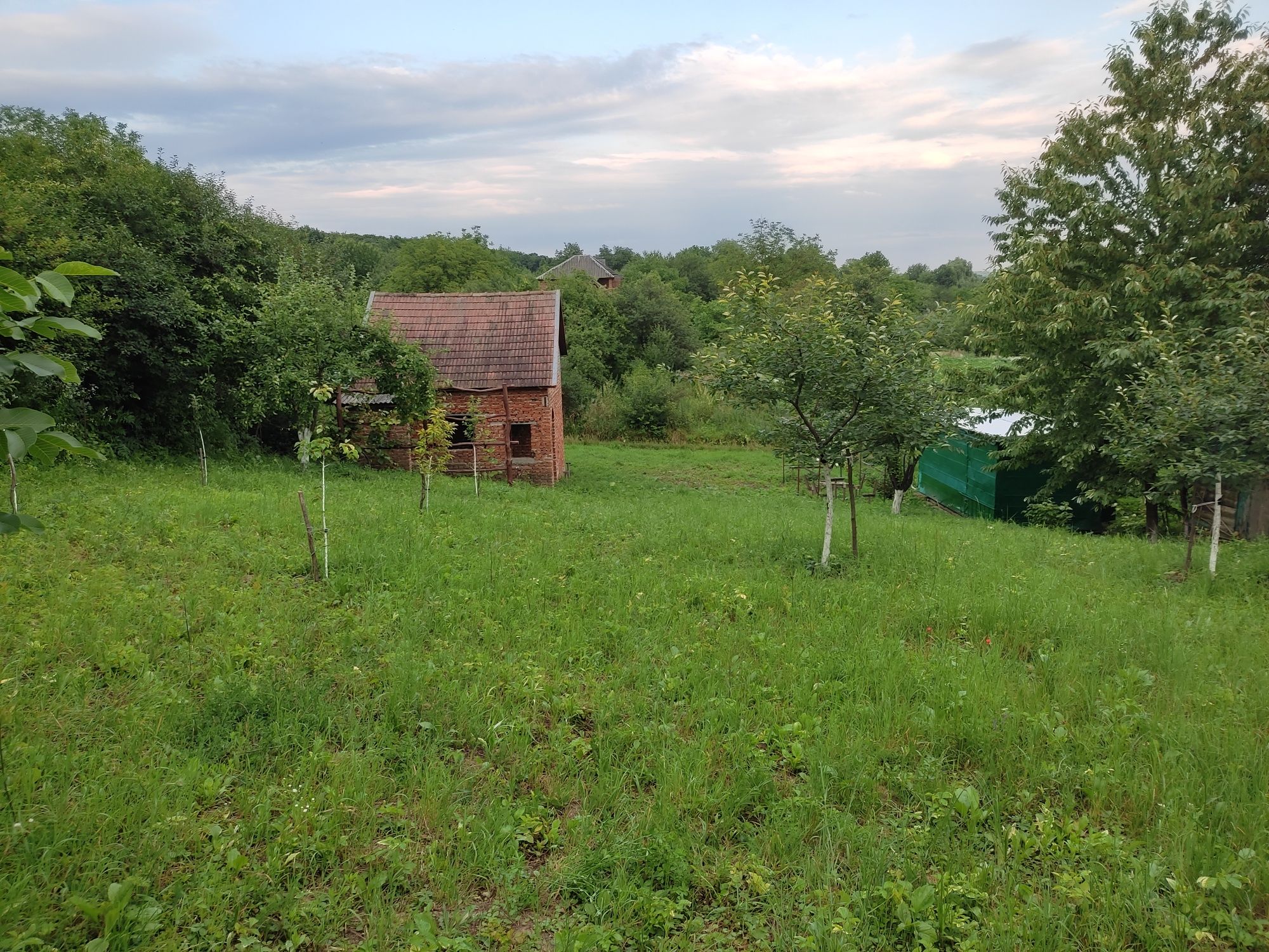 Продається дачна ділянка в місті Рогатин.