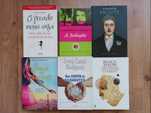 Vários livros (Chuva de Diamantes, As Paixões de Proust, etc)