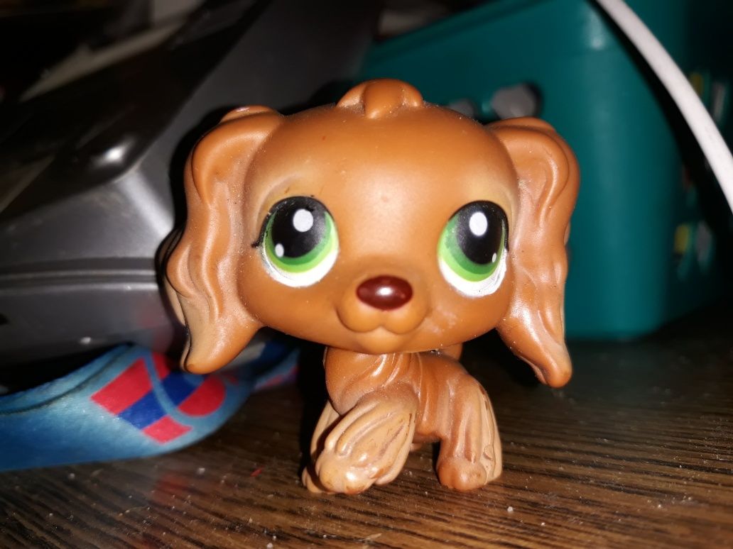 Littlest Pet Shop Spaniel Oryginał