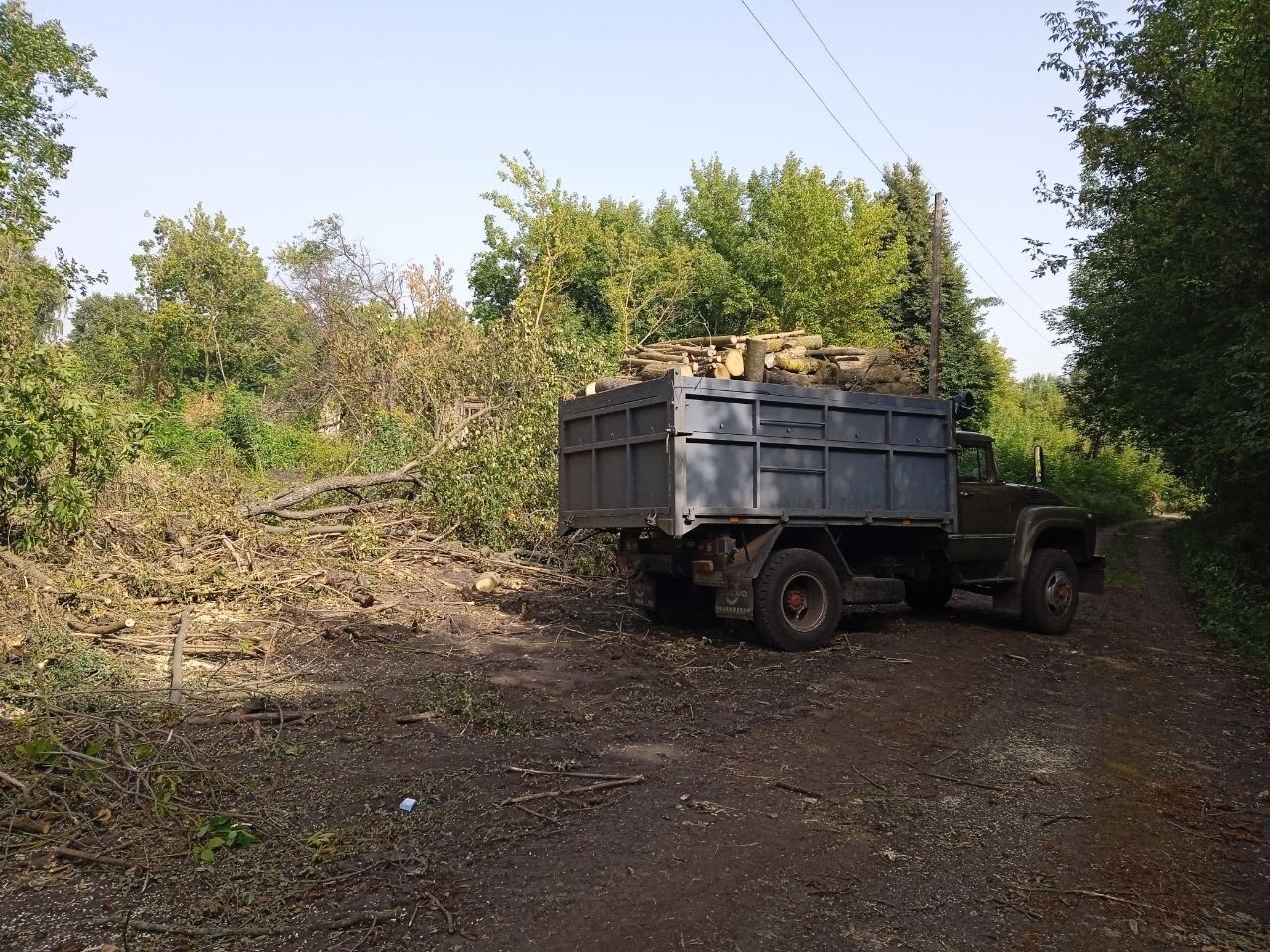 Продам дрова. Клен. Акація