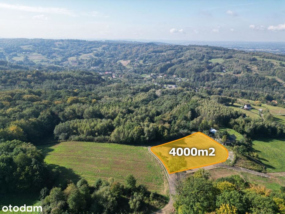 Widokowa działka budowlana 4000m² - LATOSZYN-KOPALINY