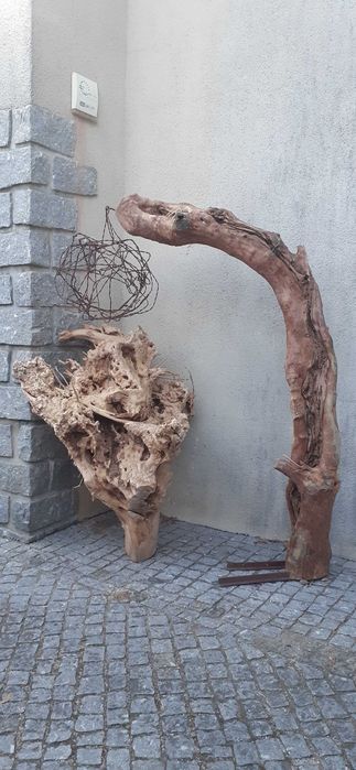Raizes decorativas