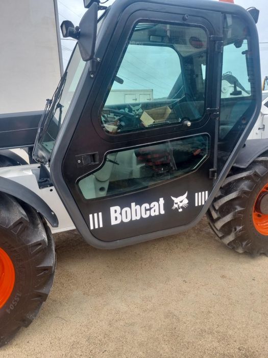 Bobcat impecável