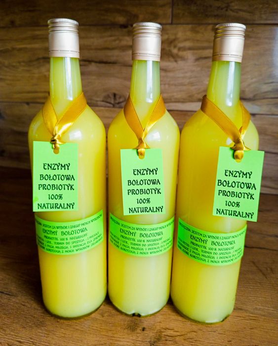 Enzymy Bołotowa Naturalny Probiotyk 3 litry Zestaw.
