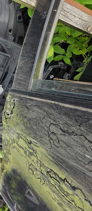 Drzwi tylne lewe BMW X5 E53 Siedlce