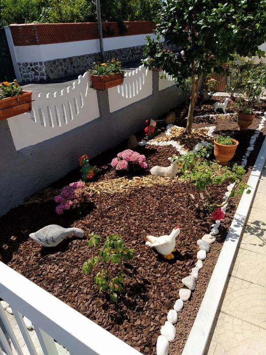 Jardinagem e outros serviços