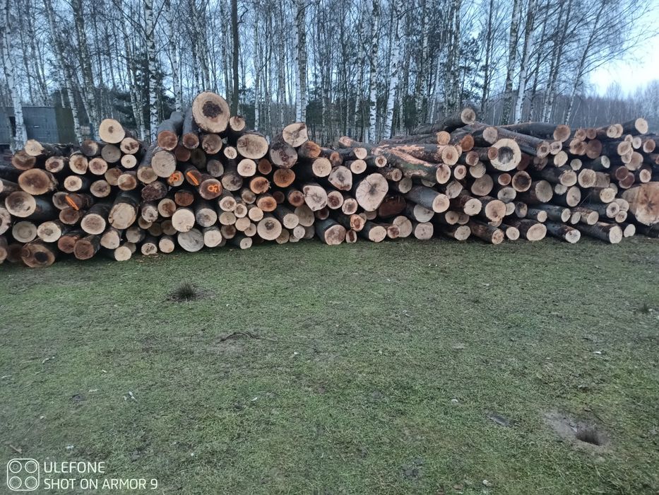 Drewno kominkowe buk dąb opalowe twarde lisciaste