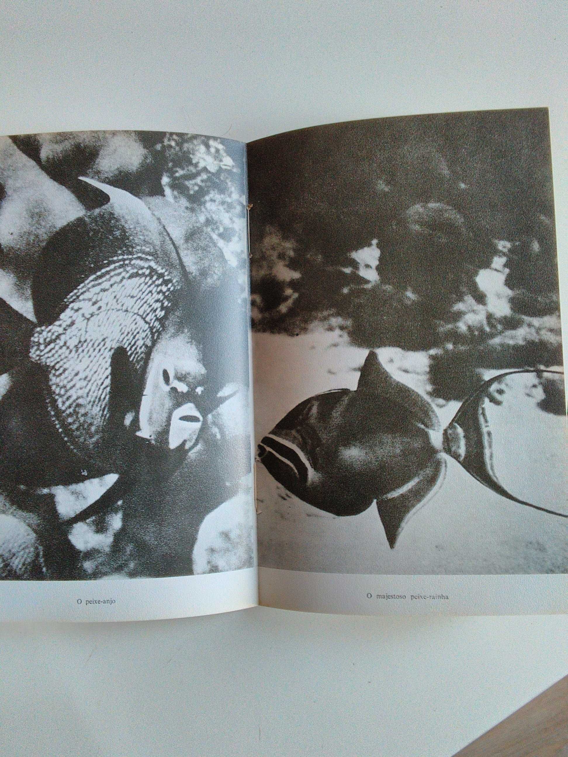 Entre Corais e Tubarões de Hans Hass (1972)