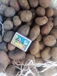 Продам Дрібну картоплю