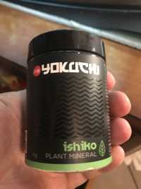 Ishiko plant mineral do akwarium