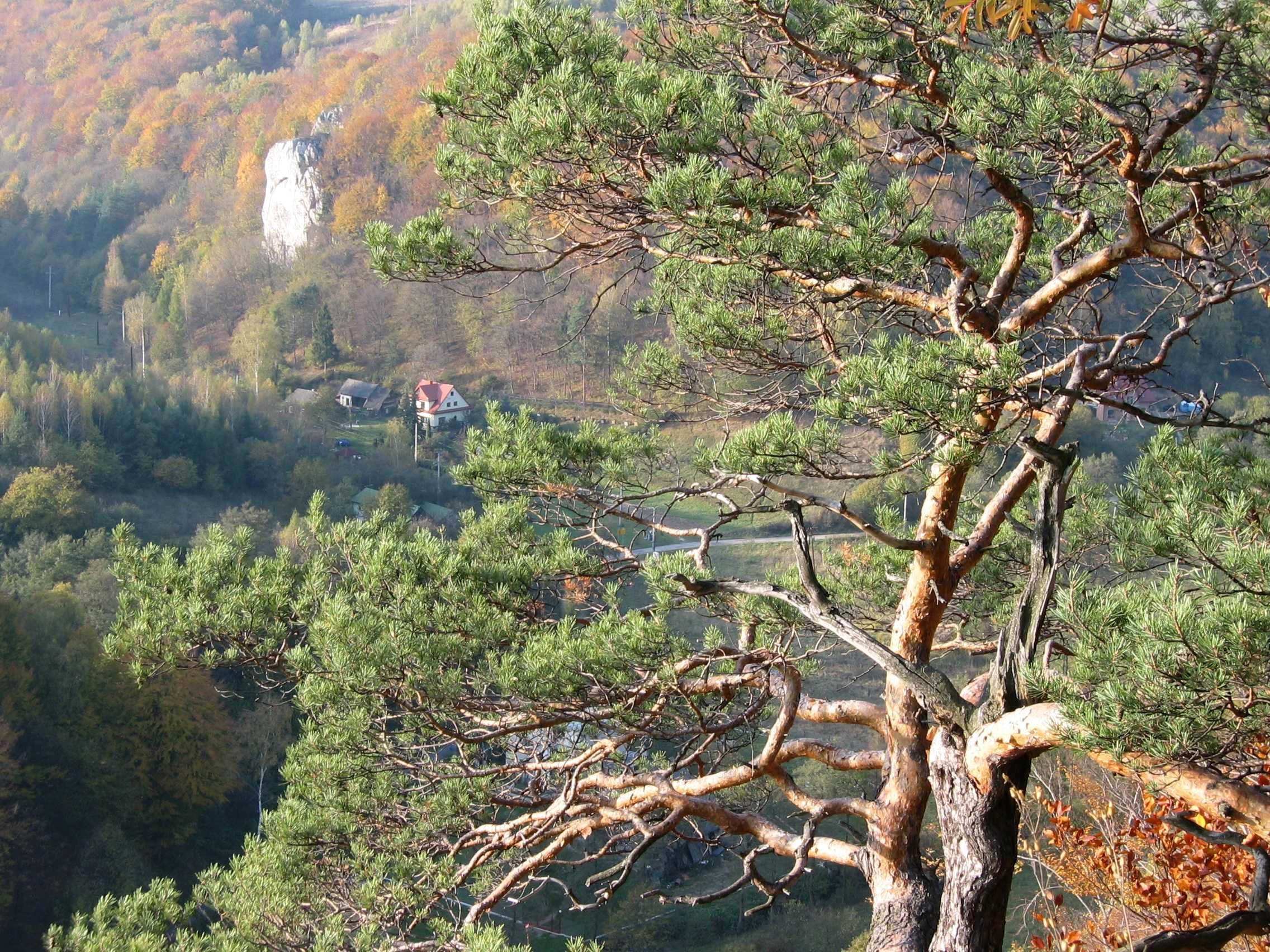 Noclegi pokoje agroturystyka Jura Dom pod Sokolicą Dolina Będkowska