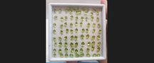 Naturalny Peridot (Oliwin) Bardzo tanio